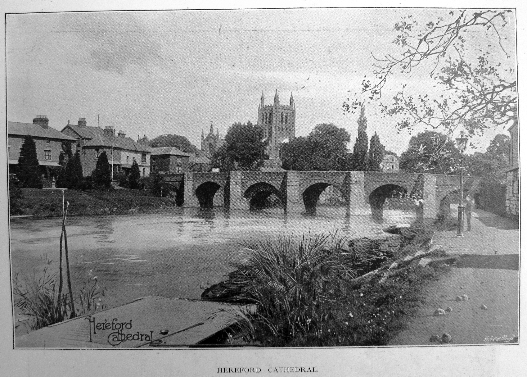 Hereford
